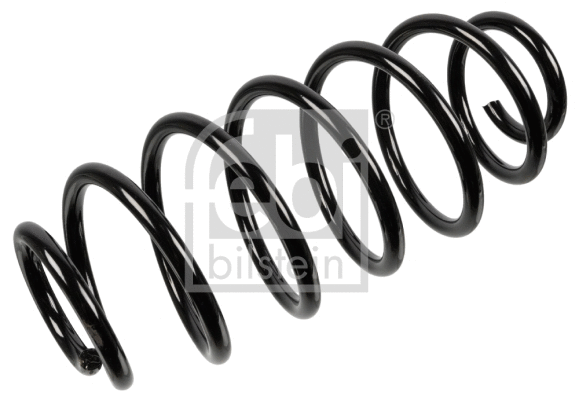 Suspension Spring (106276)