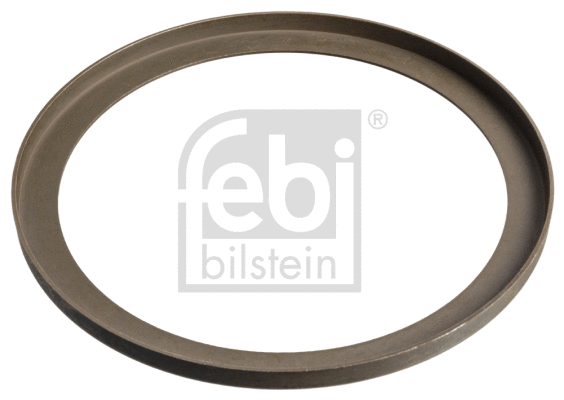 Cover Plate, dust-cover wheel bearing (17548)