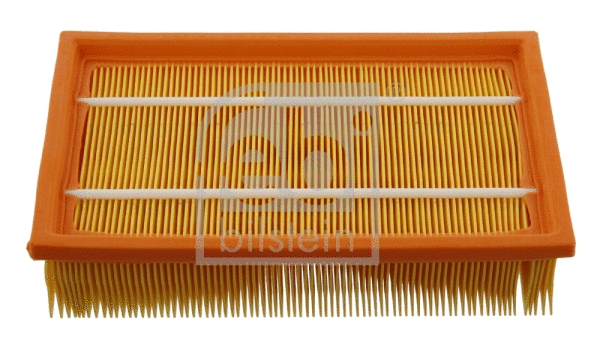 Air Filter (34407)