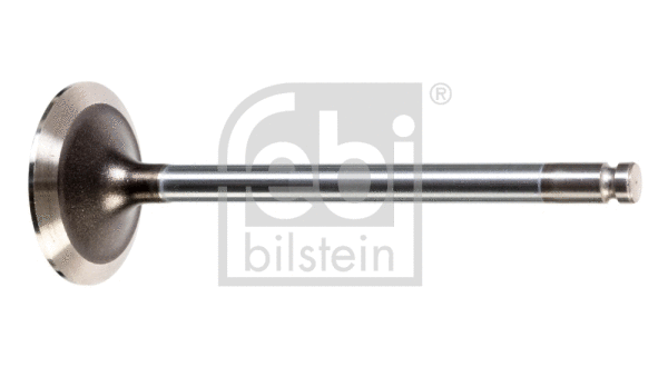 Intake Valve (170022)
