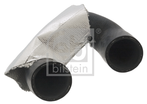 Radiator Hose (100616)