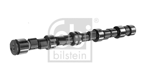 Camshaft (02993)