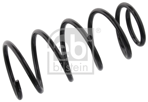 Suspension Spring (47254)