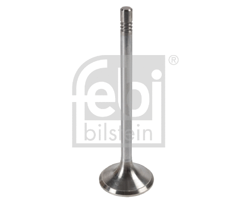 Exhaust Valve (175522)