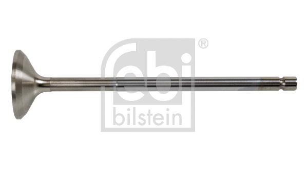 Exhaust Valve (175290)