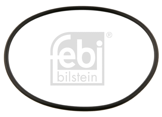 Seal Ring, gearshift linkage (38145)