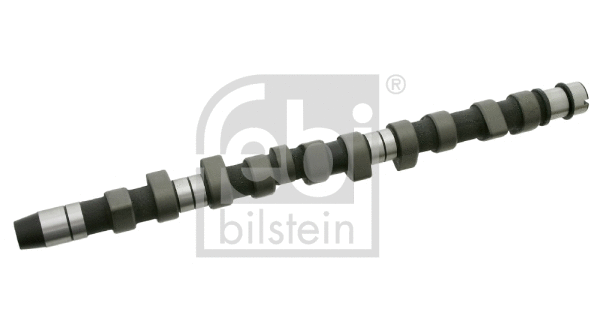 Camshaft (24820)