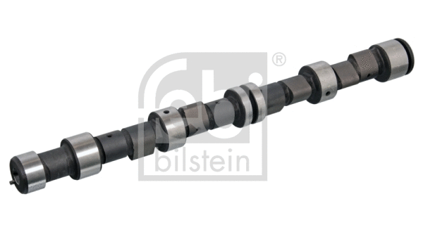 Camshaft (06024)