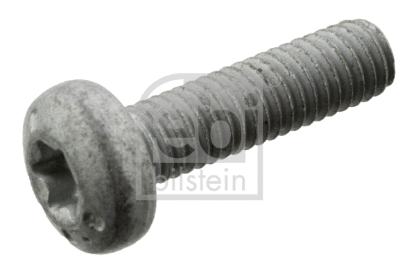 Screw (102039)