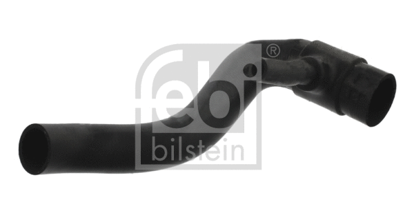 Radiator Hose (36781)
