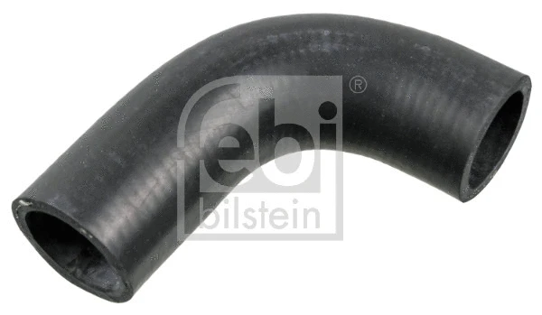 Radiator Hose (179369)