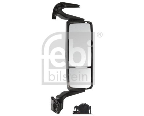 Mirror System (100111)