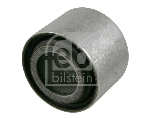 Mounting, differential (21765)