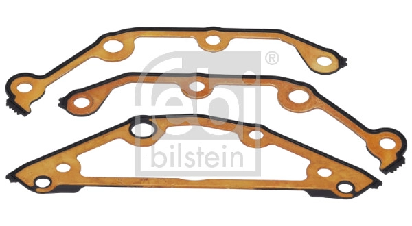 Gasket Kit, timing case (181818)