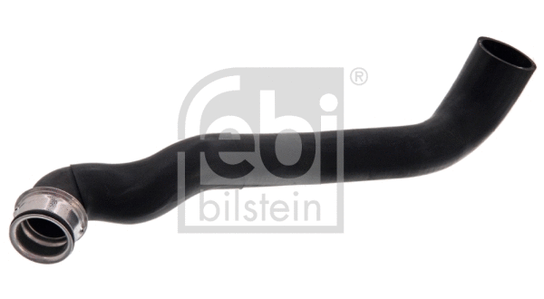 Radiator Hose (36226)