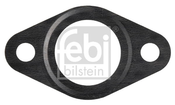 Gasket, EGR valve (109556)