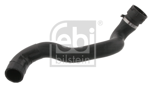 Radiator Hose (36148)