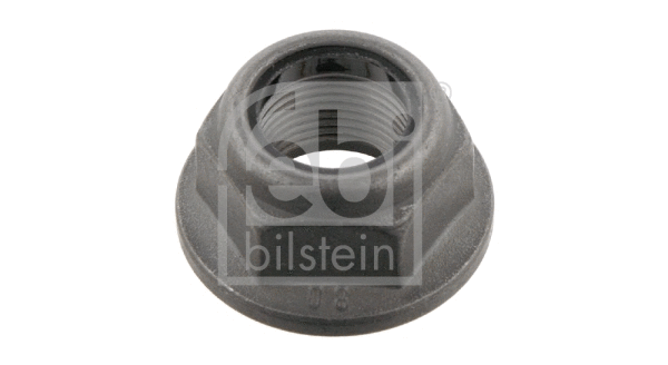 Nut, stub axle (19893)