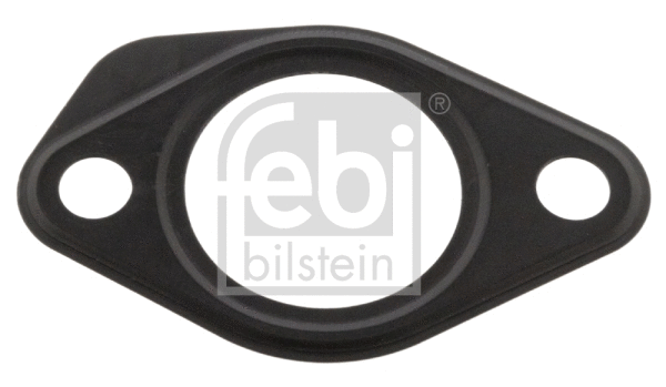Gasket, timing case (102340)
