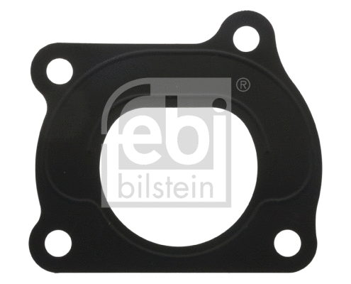 Gasket, throttle body (45598)