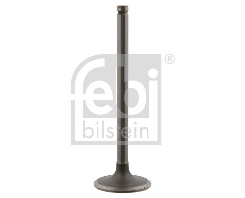 Intake Valve (18767)