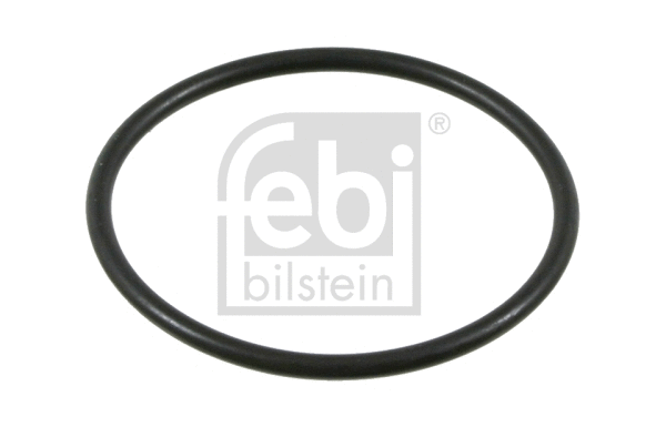 Seal Ring, steering knuckle (03725)