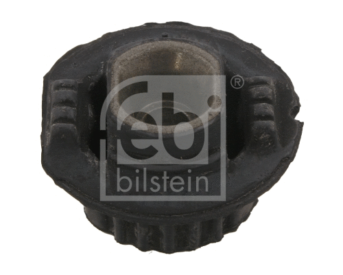 Bushing, axle beam (33658)