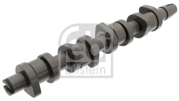 Camshaft (33194)