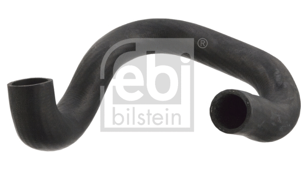 Radiator Hose (12633)