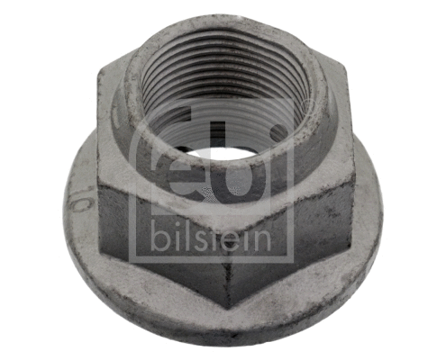 Nut, stub axle (21903)