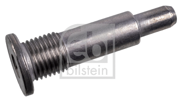 Sliding Rail Bolts, timing chain (173615)