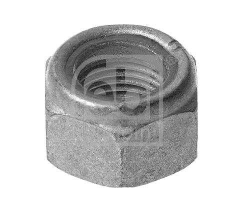 Nut (05031)