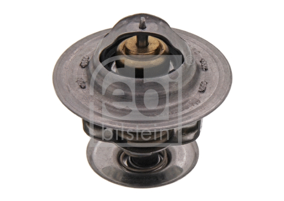 Thermostat, coolant (17908)