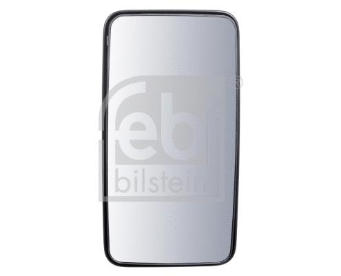 Exterior Mirror, driver cab (101186)