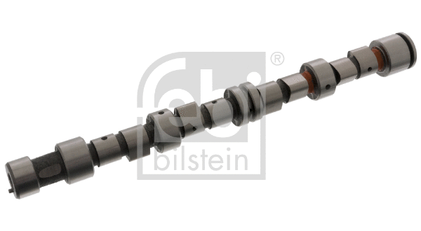 Camshaft (12241)