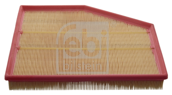 Air Filter (48487)