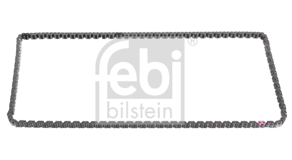 Timing Chain (106617)