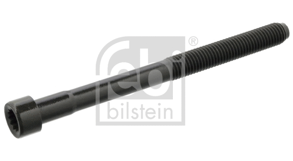 Cylinder Head Bolt (11953)