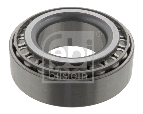 Wheel Bearing (09876)