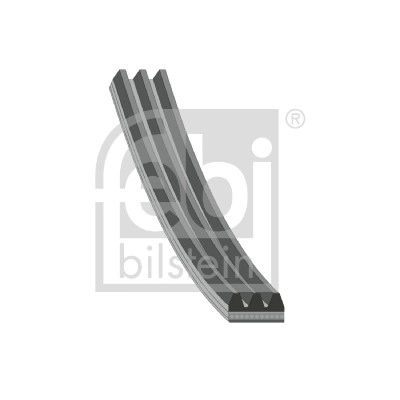 V-Ribbed Belt (183571)