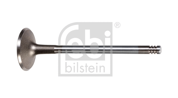 Intake Valve (17386)