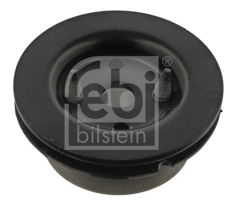 Mounting, transfer case (40797)