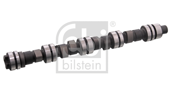 Camshaft (03017)