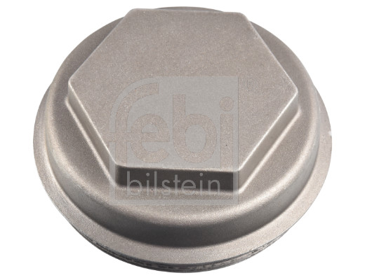 Protection Lid, wheel hub (183013)