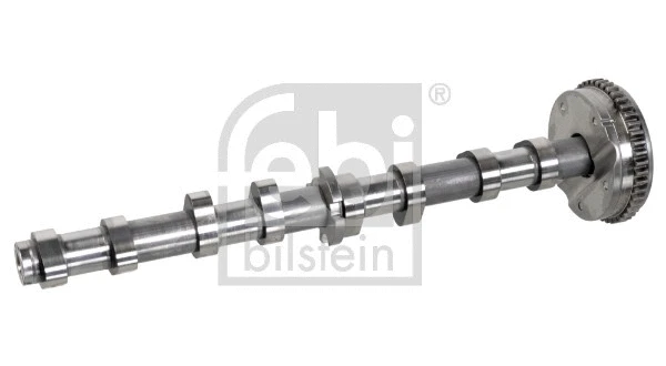 Camshaft (175101)
