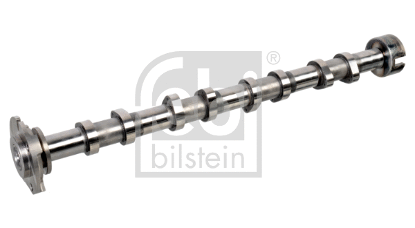Camshaft (175581)