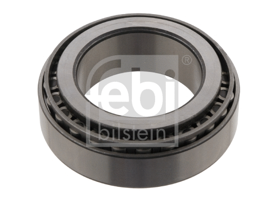 Wheel Bearing (30002)
