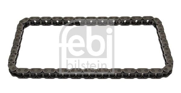 Timing Chain (39962)