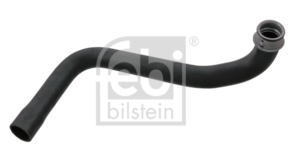 Radiator Hose (100307)