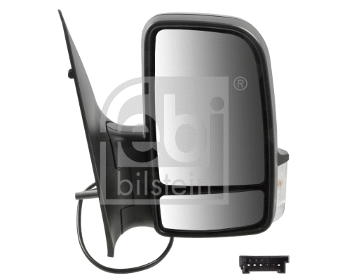 Exterior Mirror (101111)